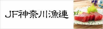 JF神奈川漁連