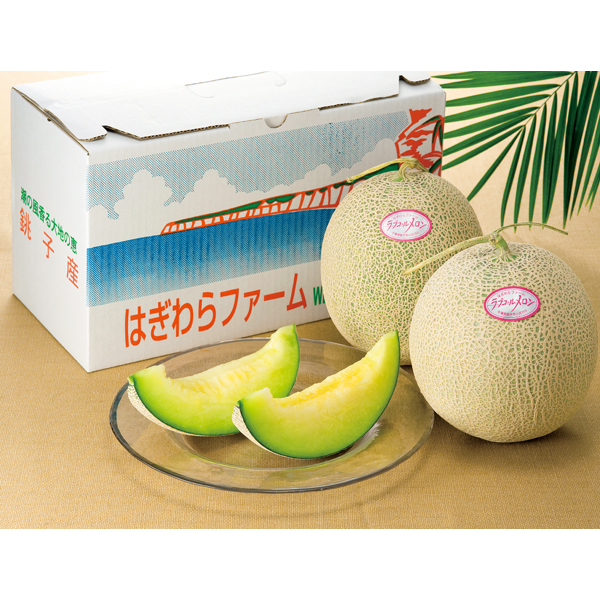 〈はぎわらファーム〉千葉県銚子産 ラブコールメロン CH-2【お申込みは2025年7月21日（月・祝日）午後4時まで】