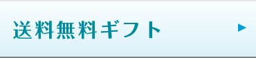 送料無料ギフト