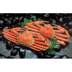 〈カネコメ田中水産〉ボイルずわいがに 2尾セット BZG-2【お申込みは2025年7月21日（月・祝日）午後4時まで】