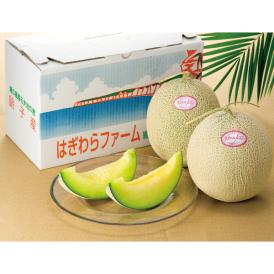 〈はぎわらファーム〉千葉県銚子産 ラブコールメロン CH-2【お申込みは2025年7月21日（月・祝日）午後4時まで】