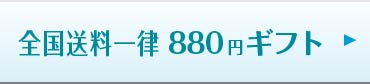 送料一律ギフト