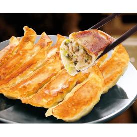 〈宇都宮餃子館〉宇都宮餃子館 餃子詰合わせ UG-5H【お申込みは2025年7月21日（月・祝日）午後4時まで】